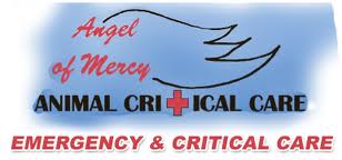 Angel of Mercy Animal Hosp