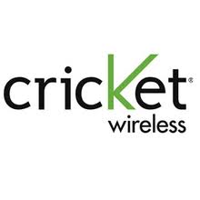 Cricket